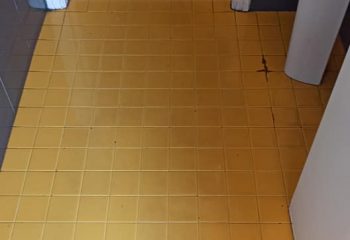 193755526_312756963634109_6166207566211249294_n