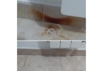 86267527_116718066571334_8666026758056706048_n